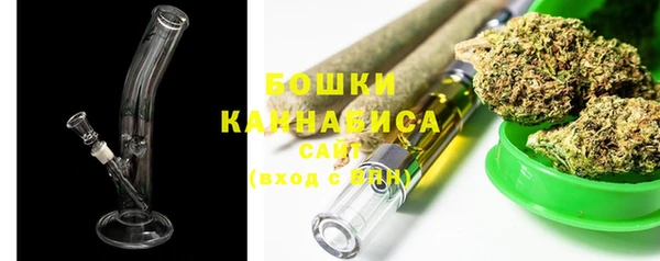сатива Белокуриха