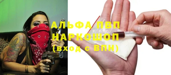 сатива Белокуриха