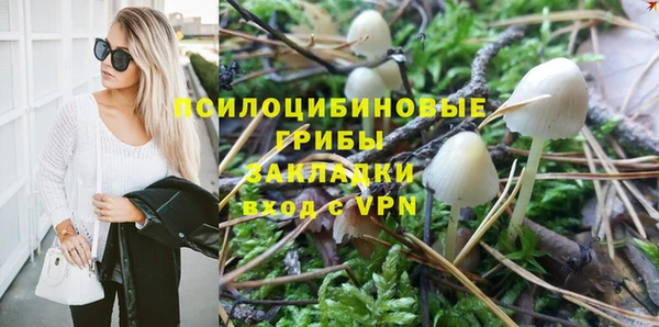 сатива Белокуриха