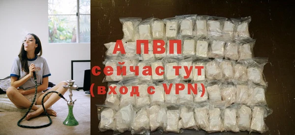 сатива Белокуриха