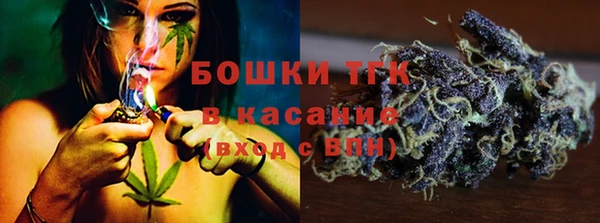 сатива Белокуриха